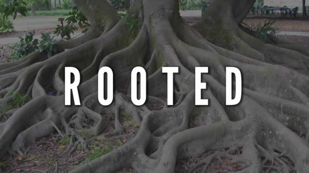 Rooted The Second Call of God
