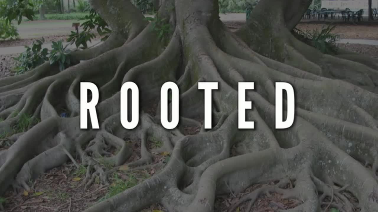 Rooted The Third Call of God