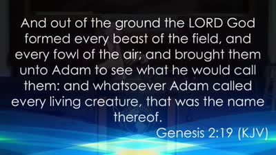 Sunday Service Message 5/24/20