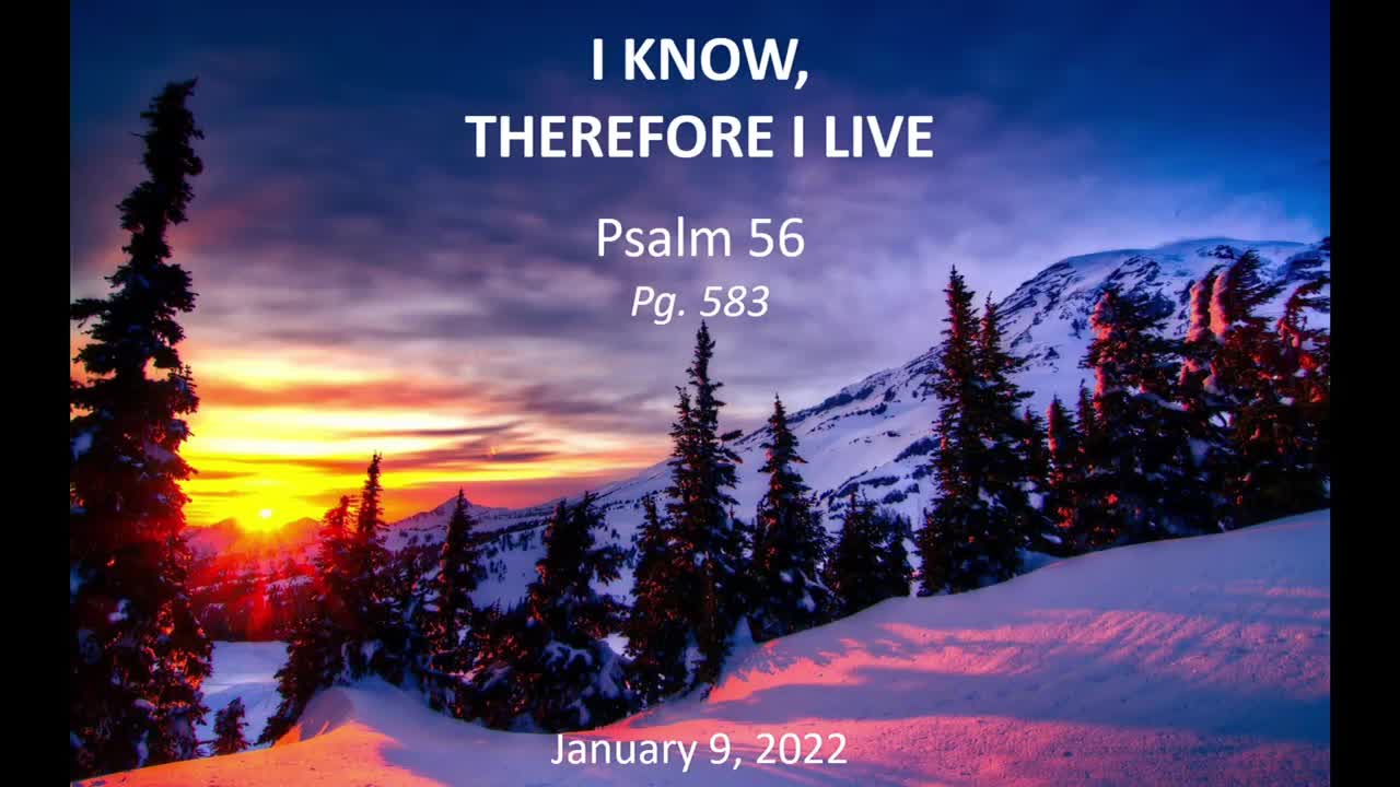 I Know Therefore I Live