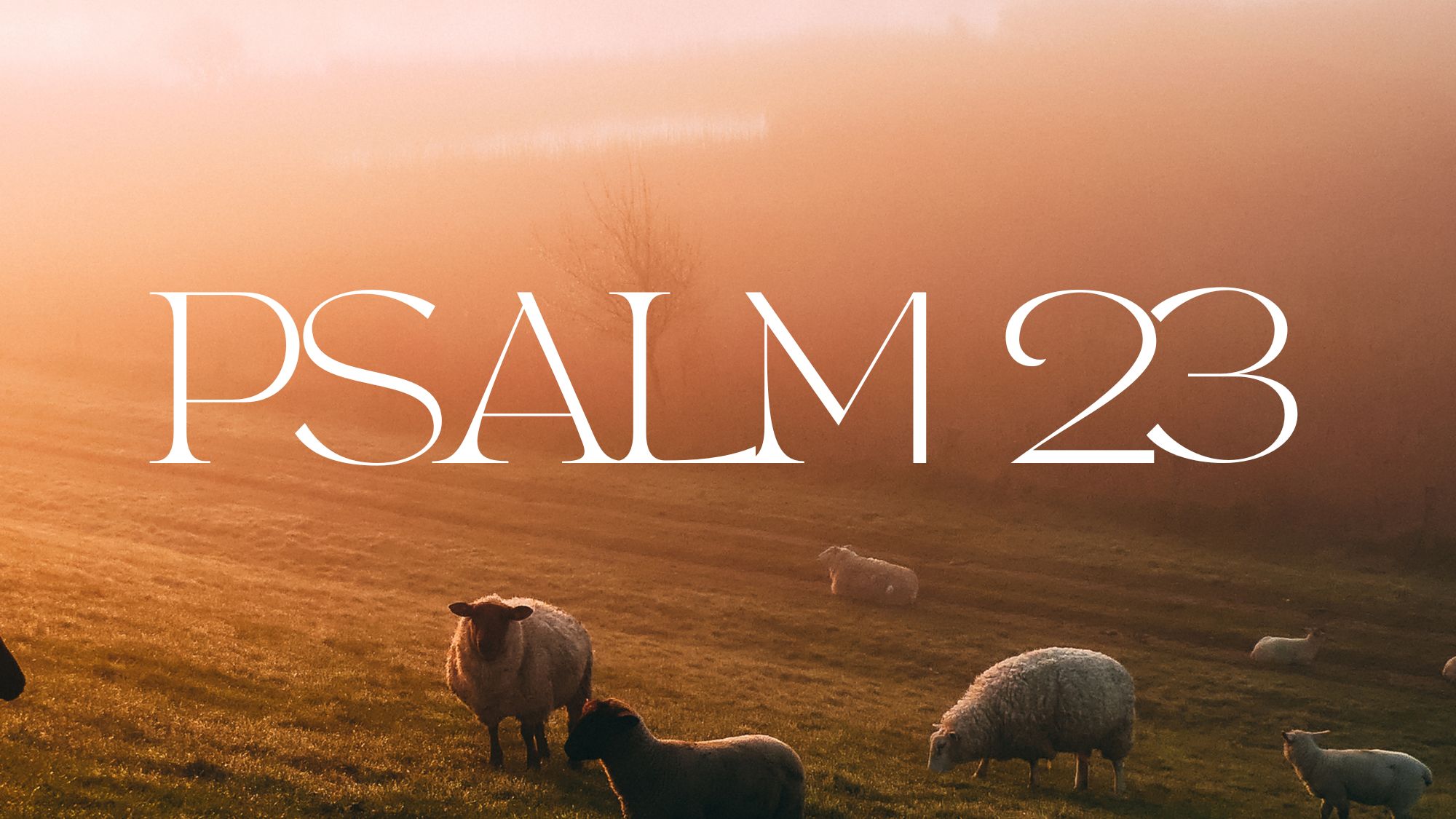 Psalm 23 