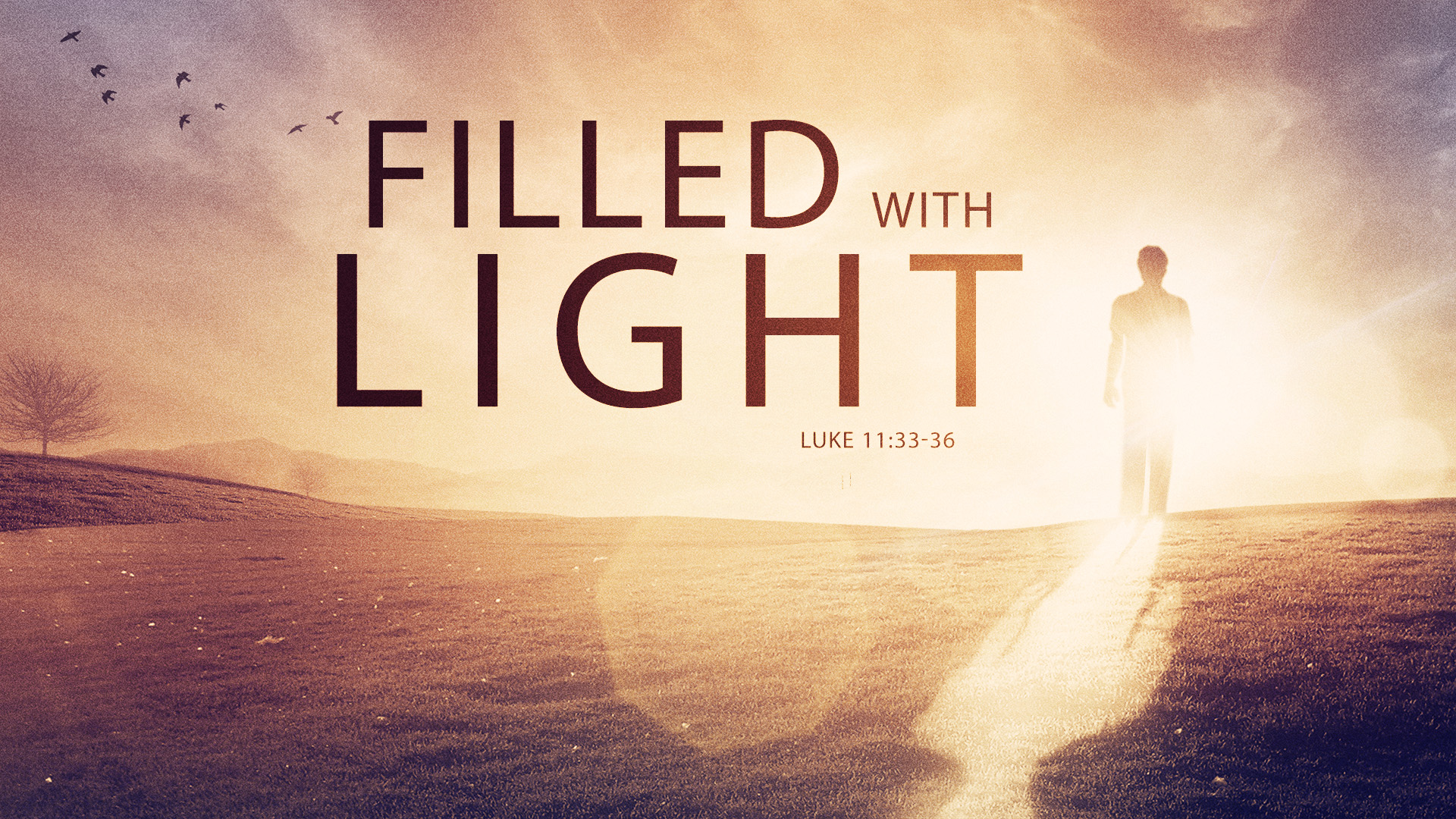 Our Pulpit Minister, Dr. Jason Noble is preaching. Jason's lesson is titled: "Filled with Light". The Scripture reading for Sunday is: Luke 11:33-36 (NLT).
Join Us!
