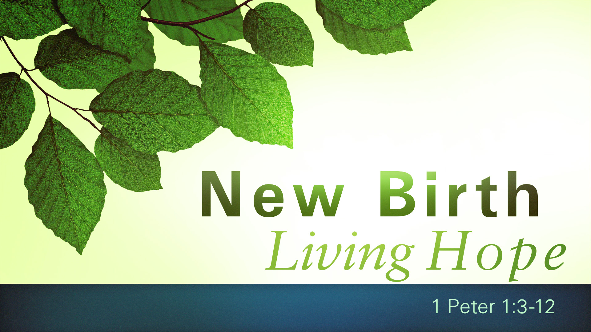 New Birth, Living Hope