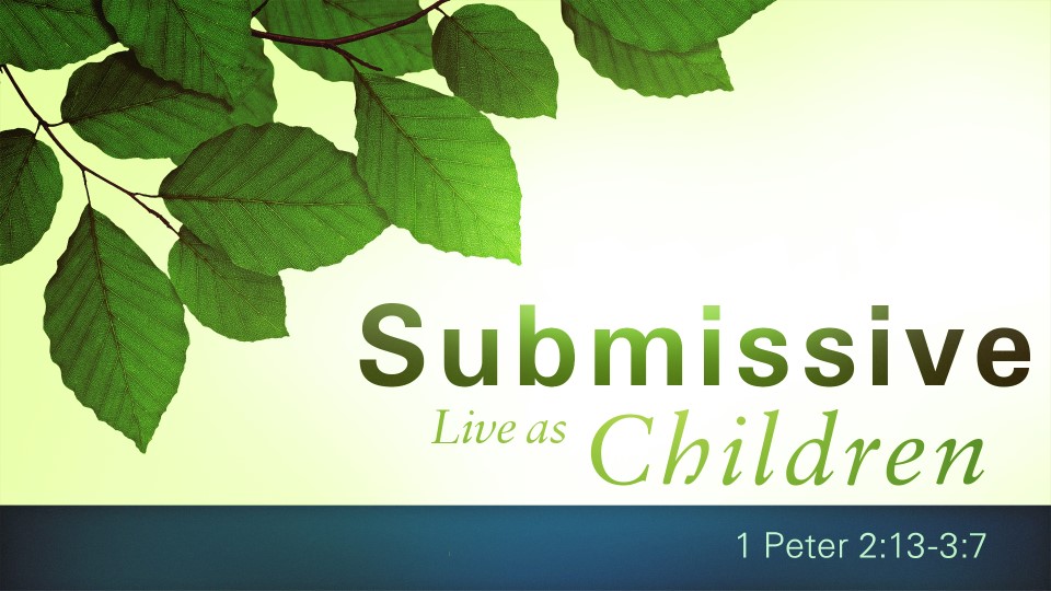 Our Pulpit Minister, Dr. Jason Noble, is preaching. Jason's lesson is titled: "Live As Submissive Children". The scripture reading is 1 Peter 2:13-3:7.
Join Us!