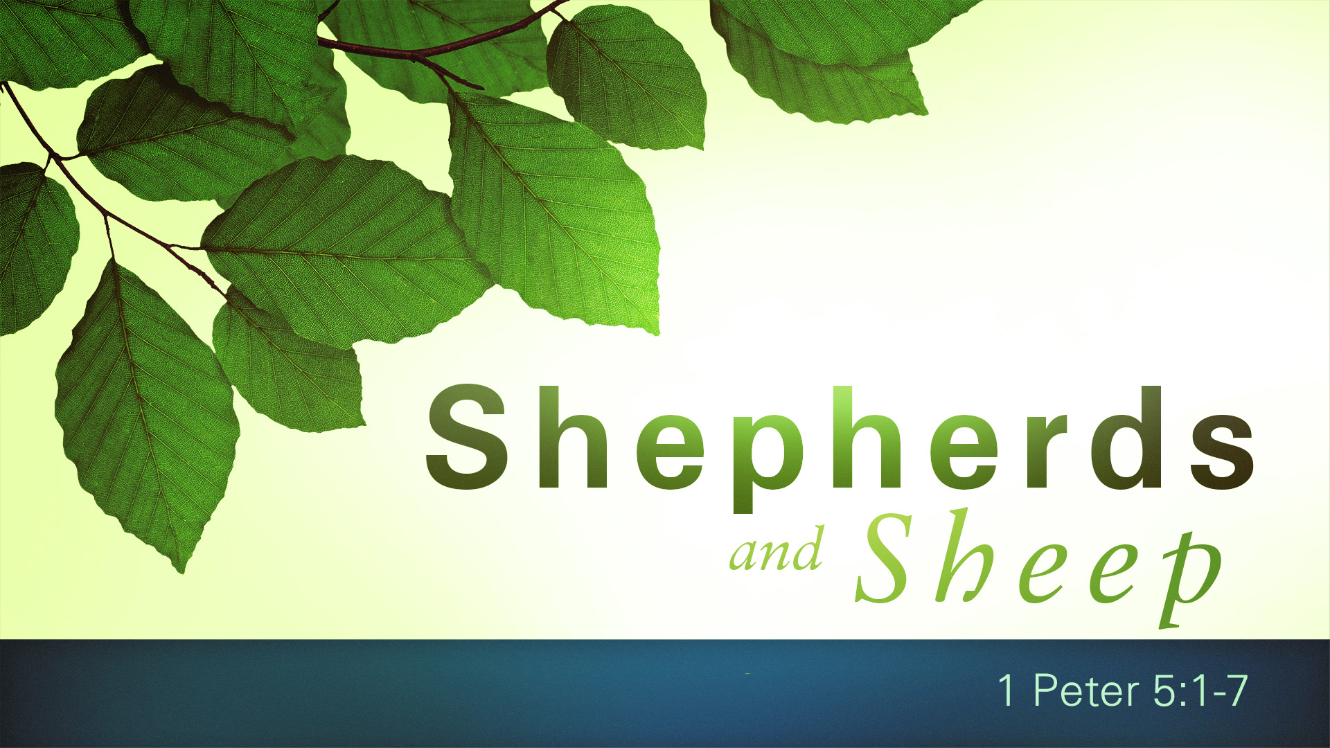 Shepherds and Sheep