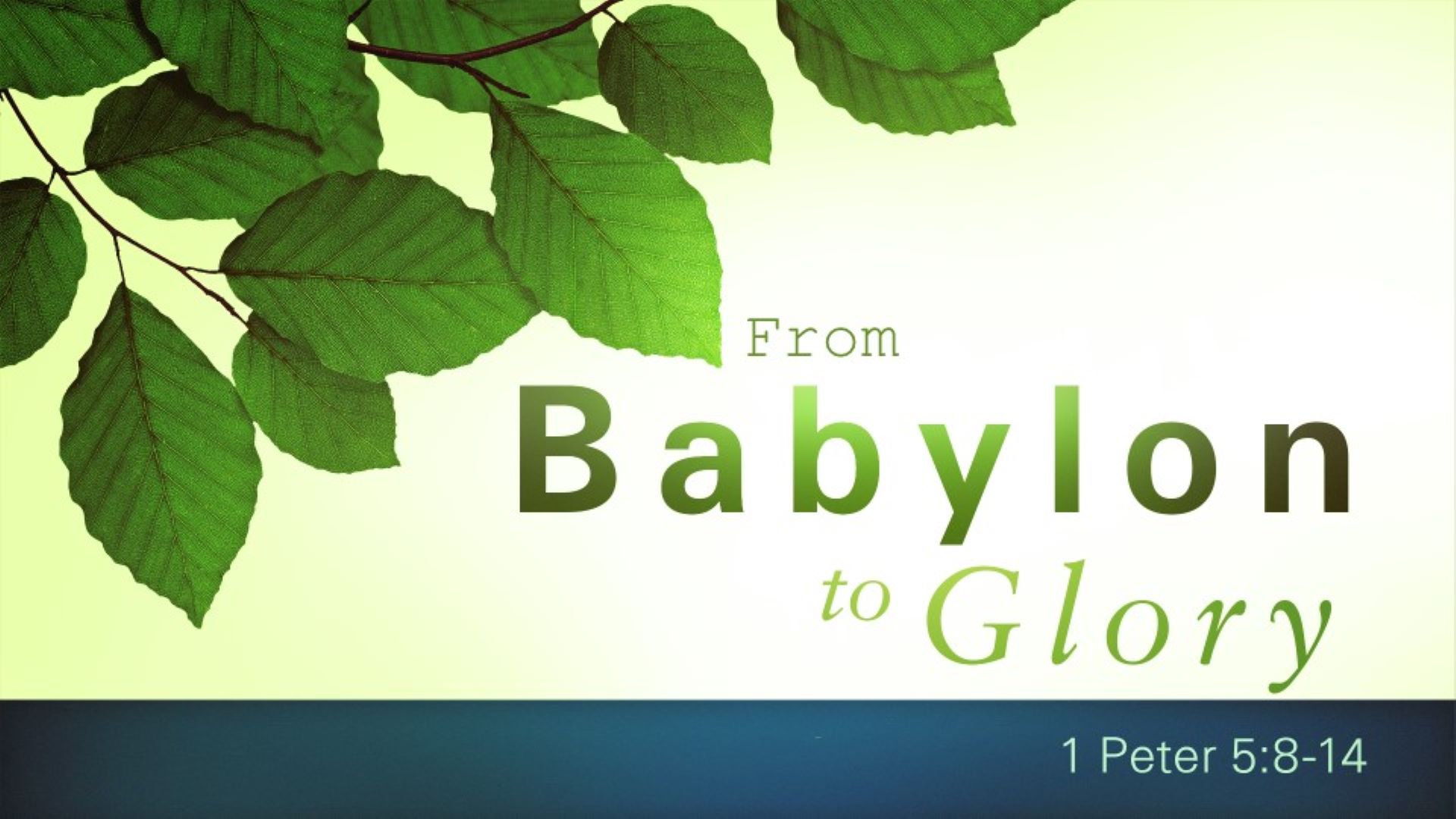 Our Pulpit Minister, Dr. Jason Noble is preaching. Jason's lesson is titled: "From Babylon to Glory". The scripture reading is 1 Peter 5:8-14.
Join Us!
