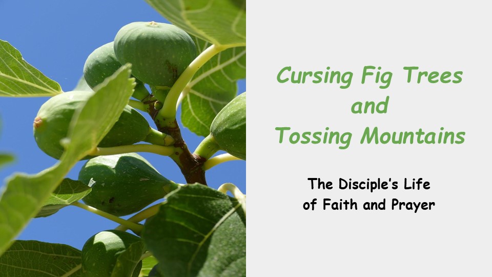 Wes Scott is preaching. Wes's lesson is titled: "Cursing Fig Trees and Tossing Mountains". The scripture reading is Mark 11:12-25.
Join Us!