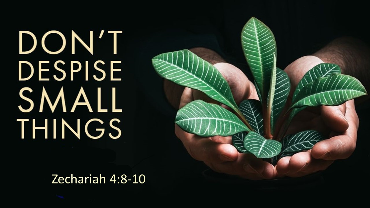Dr. Ron Newberry will be preaching. Ron's lesson is titled: "Don't Despise Small Things". The scripture reading is Zechariah 4:8-10.
Join Us!