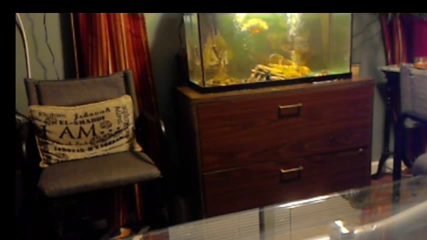 live-recording 2/1/2018 4:28:17 PM