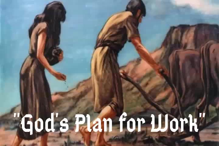 God's Plan For Work