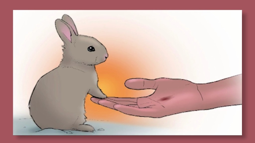 Easter Bunny Animation