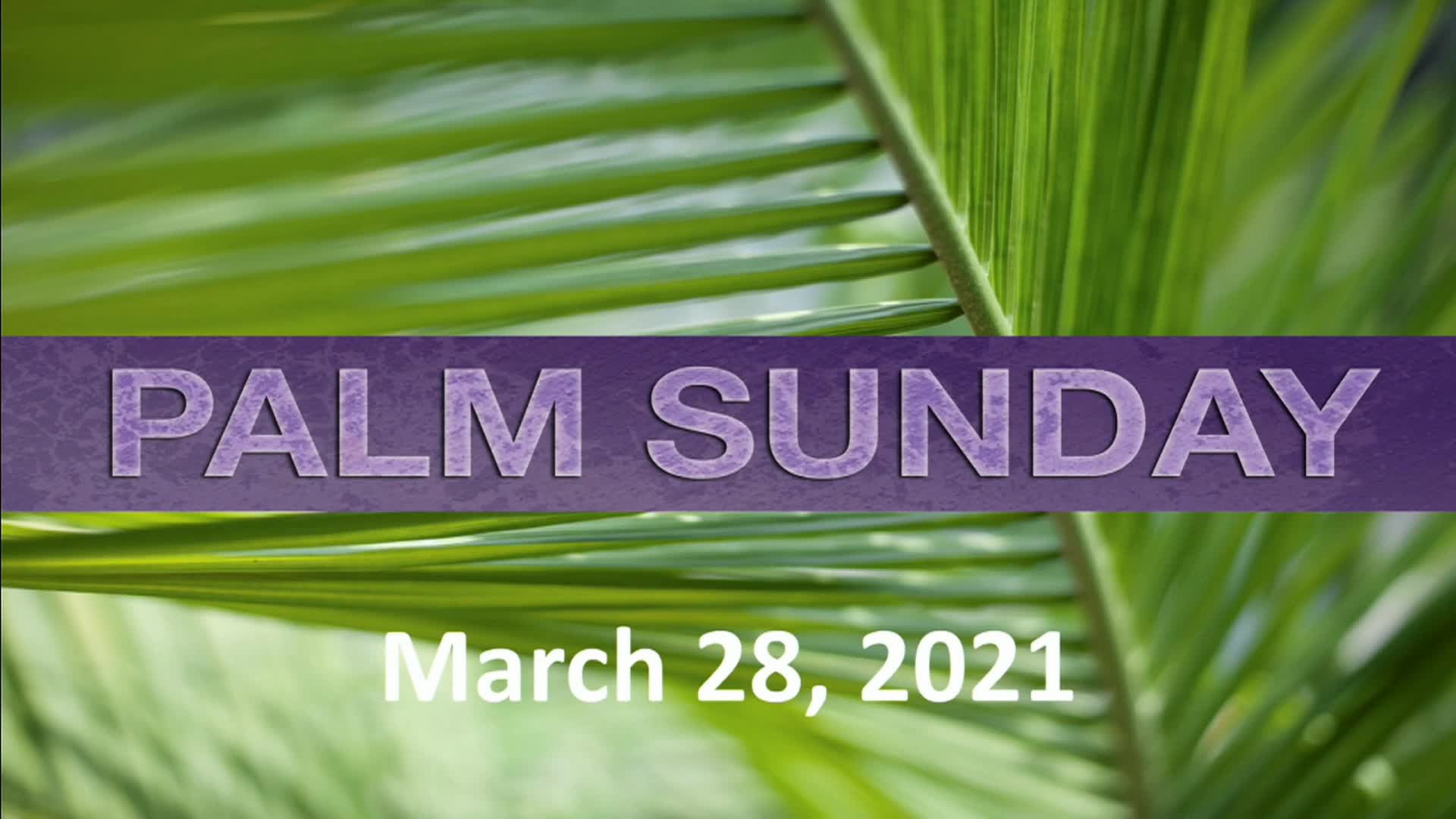 Mar 28 2021 Palm Sunday