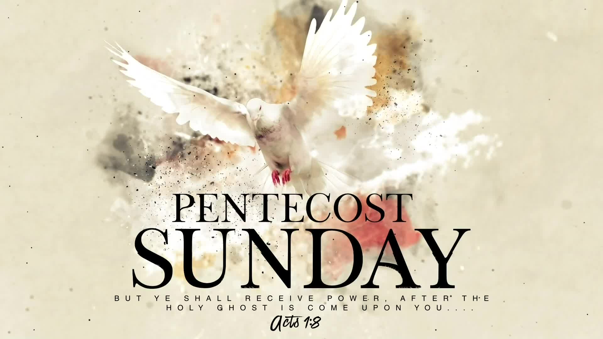 The Rules That Govern Faith Pentecost Sunday