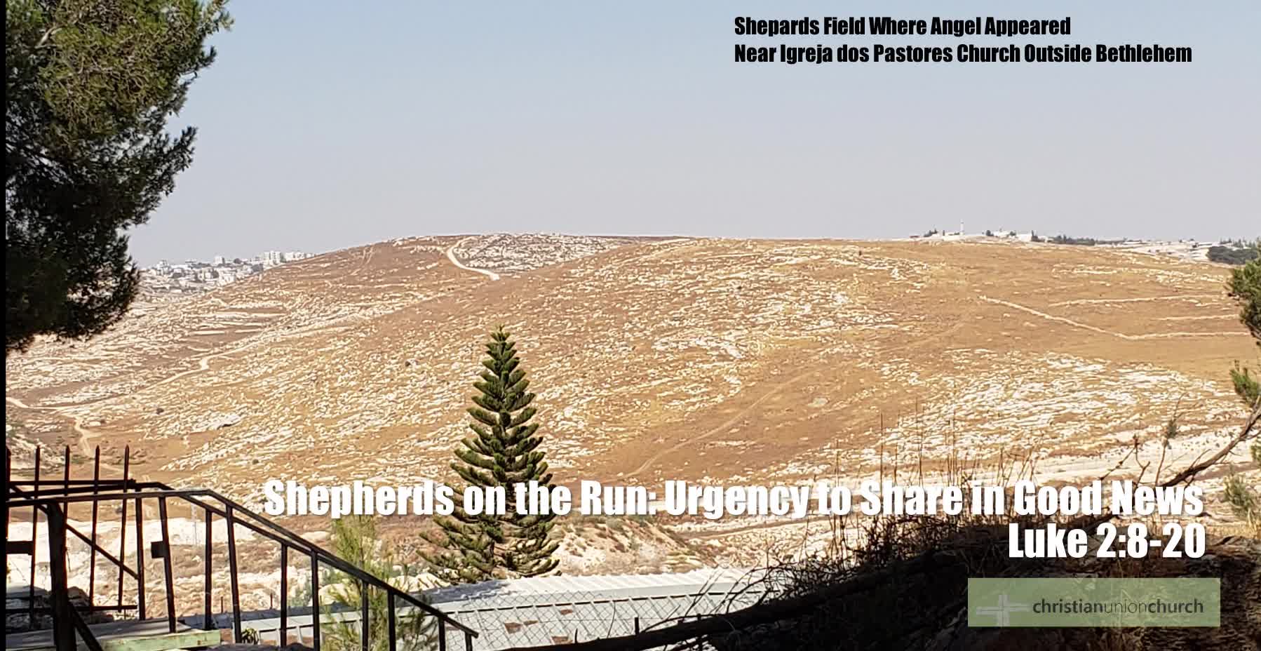 Shepherds on the Run