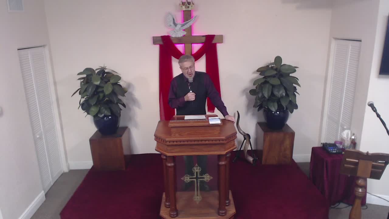 The Compassion of Christ