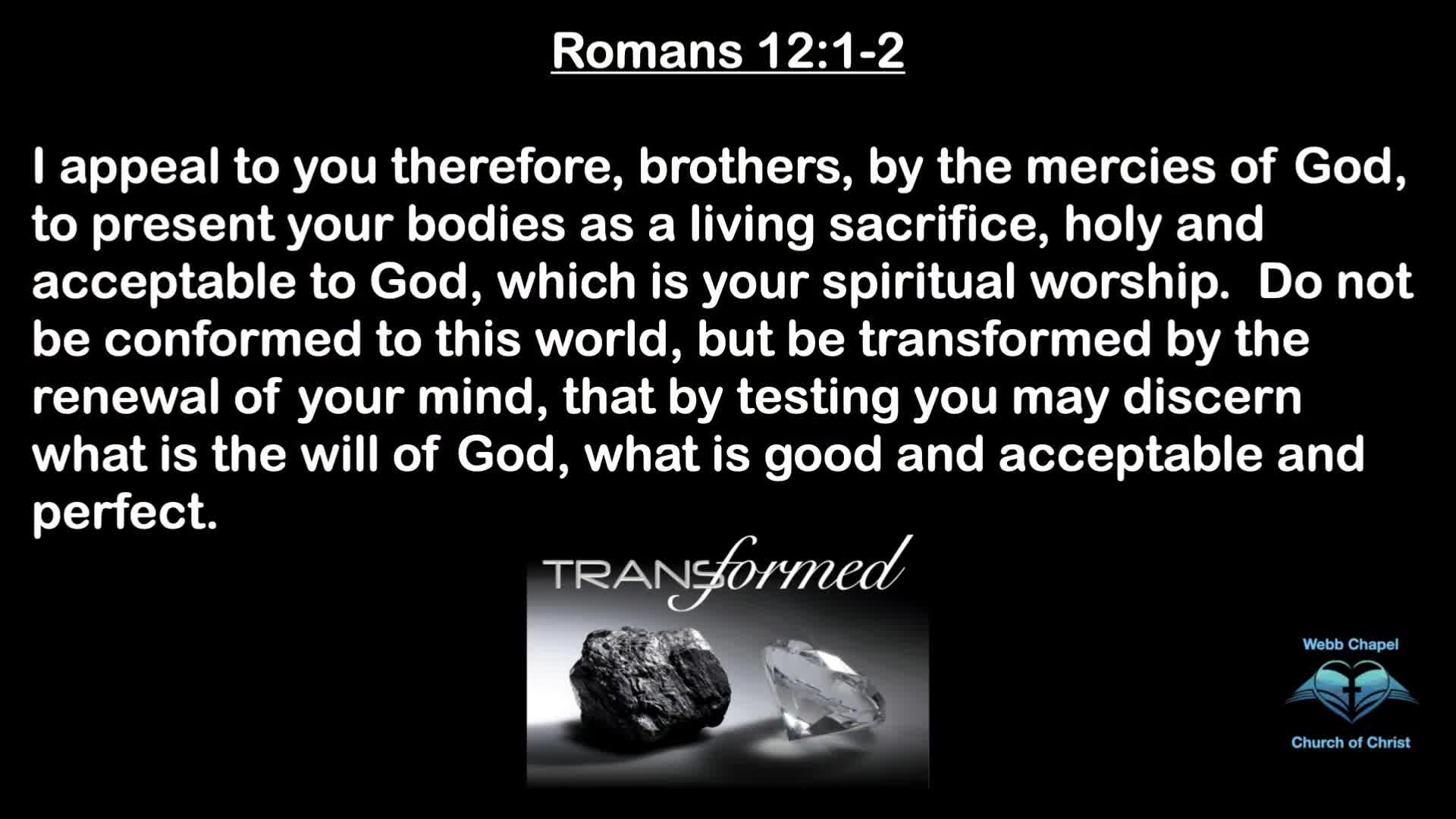1 Timothy  Godly Qualities Pt1  wk5