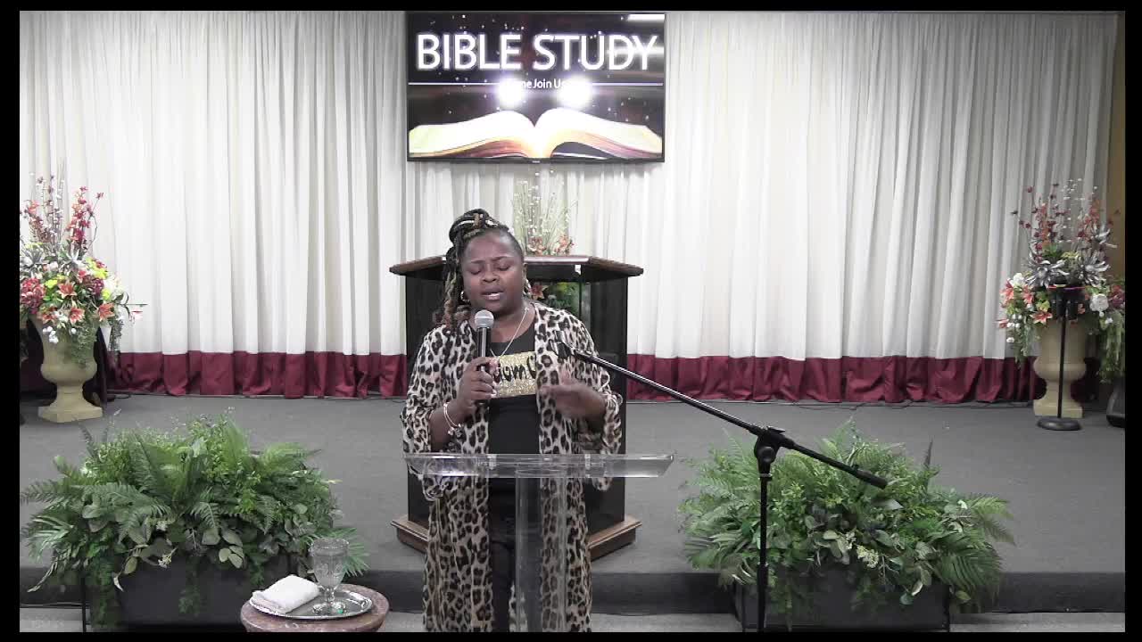 Bible Study 