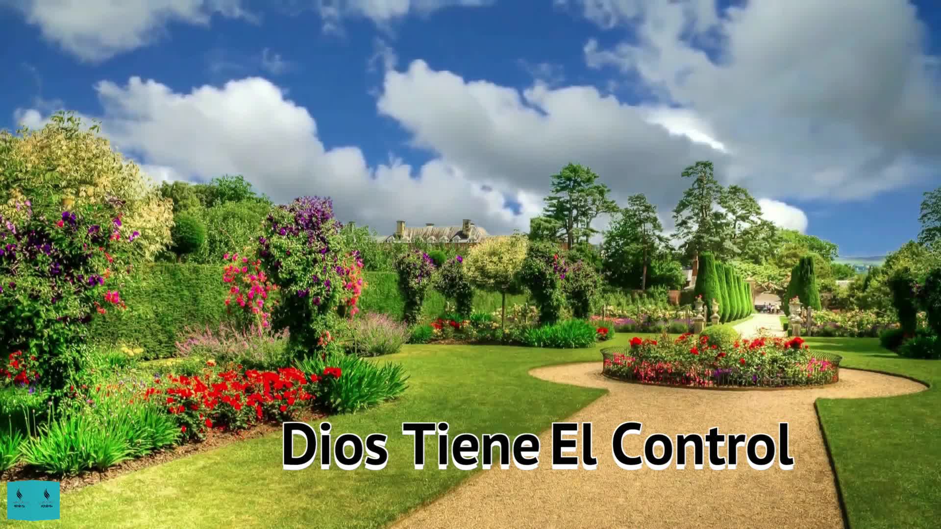 Tema1