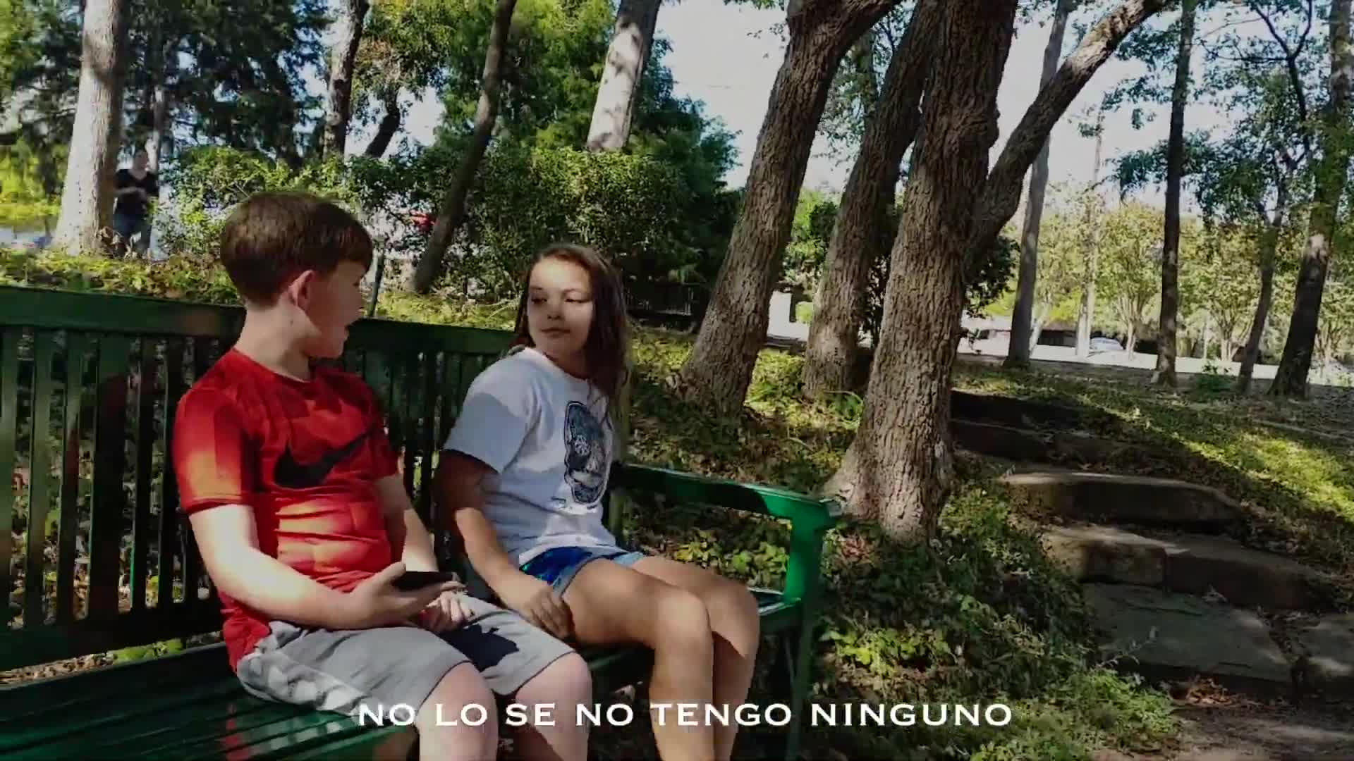Dijistes Si