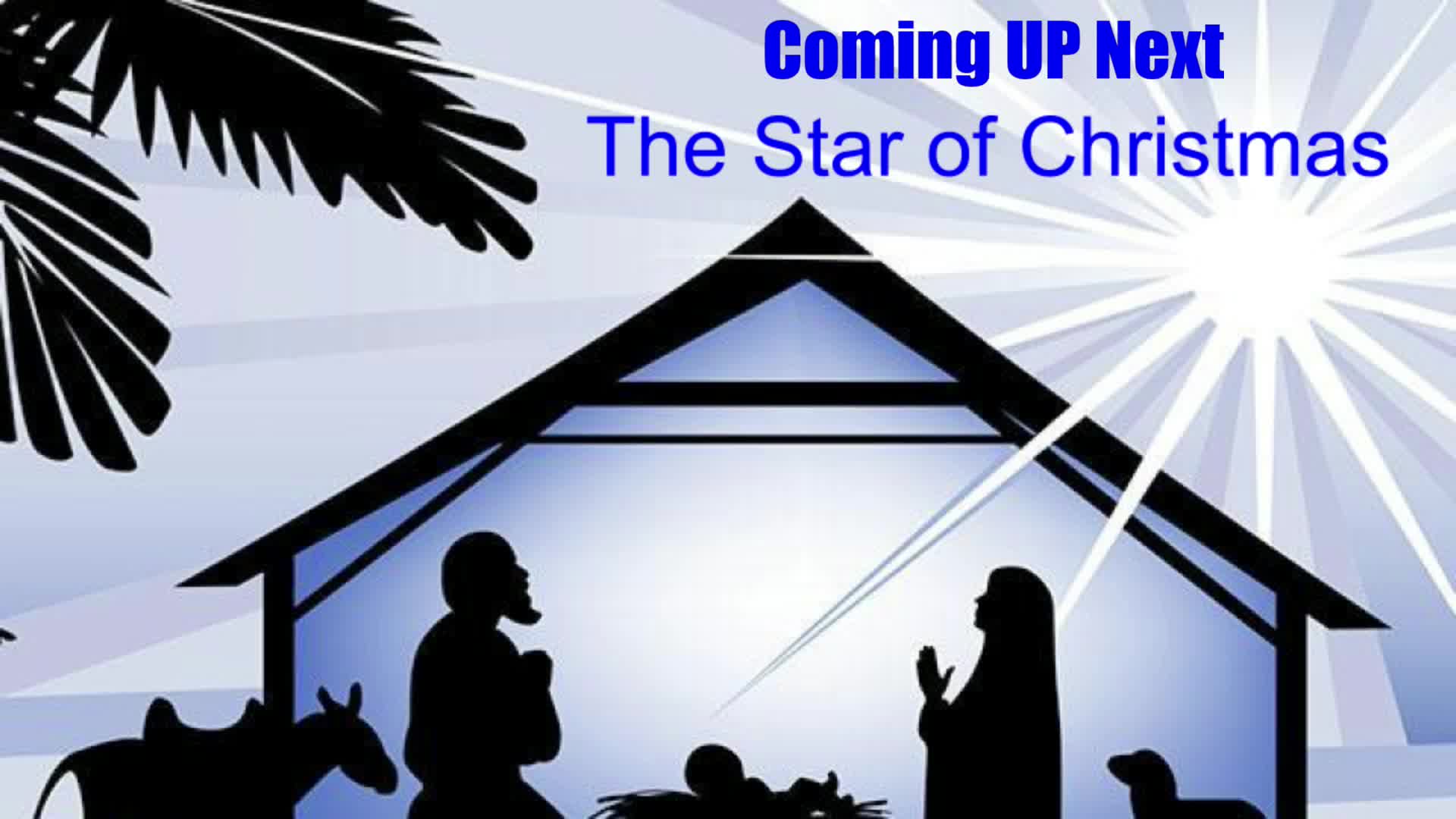Star of Christmas