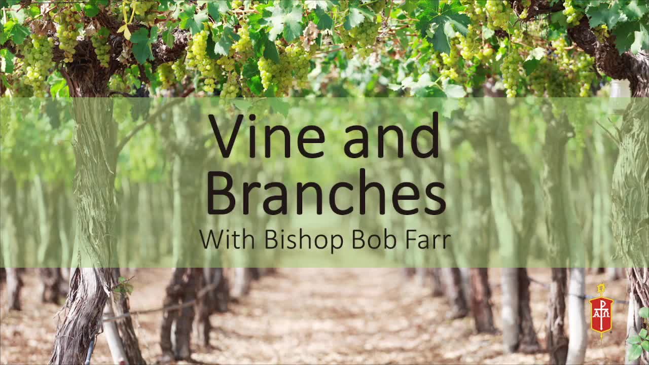  Vine and Branches