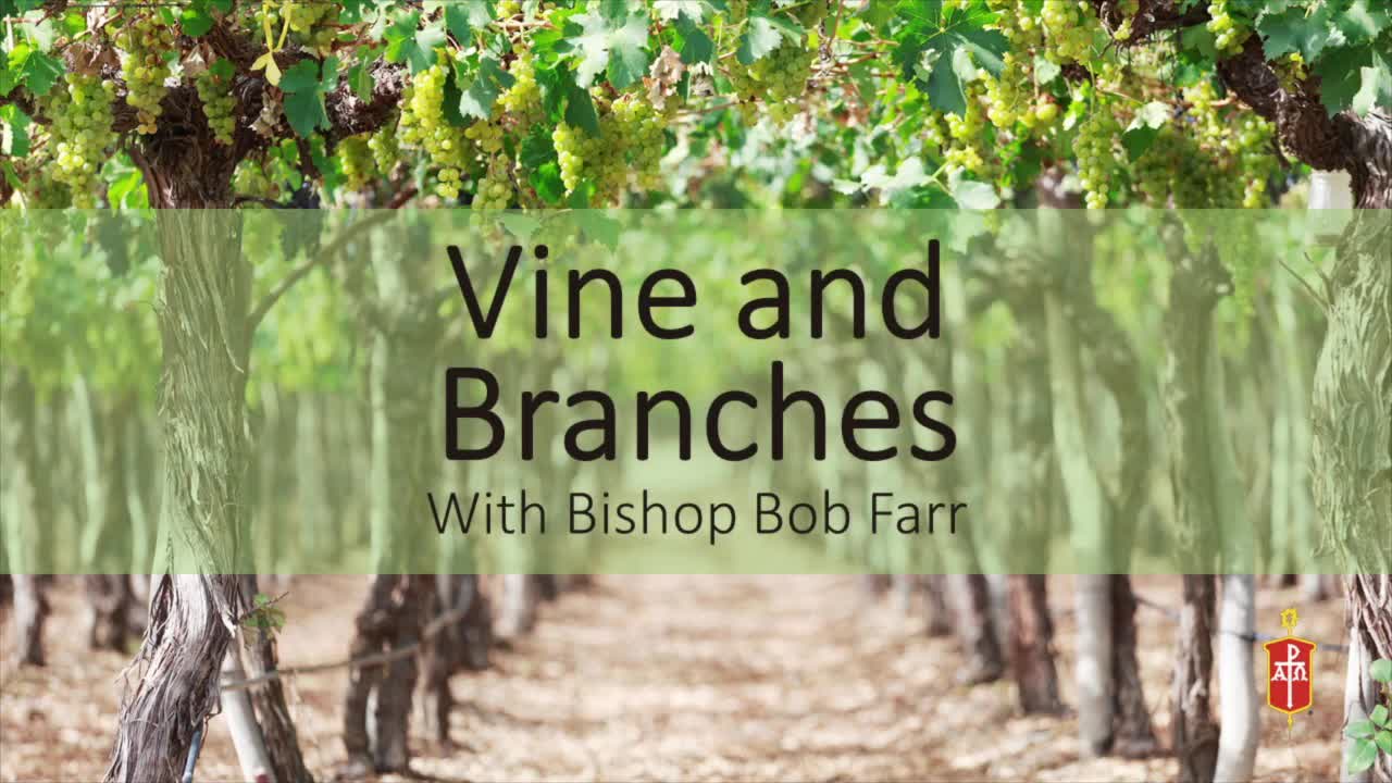 “Vine and Branches”