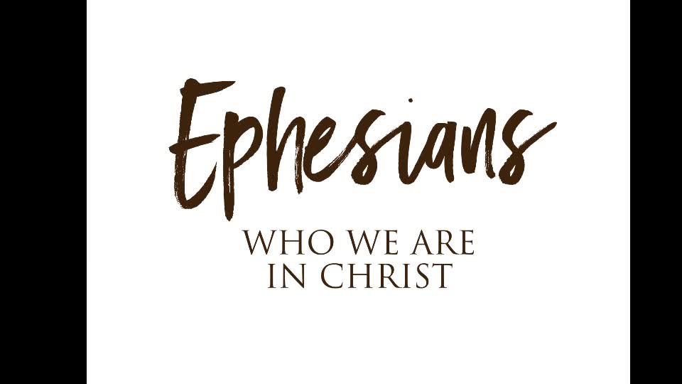 Weekly Prayer & Bible Study