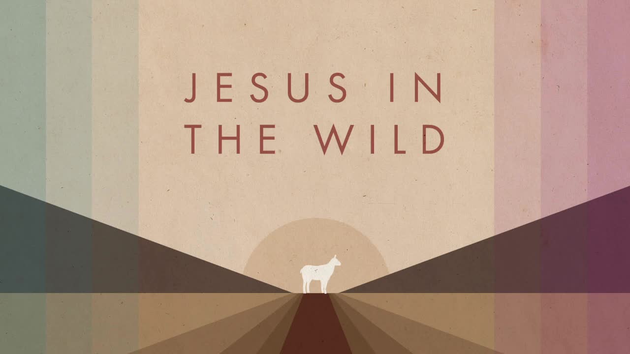  Jesus in the Wild Lessons from the Wild