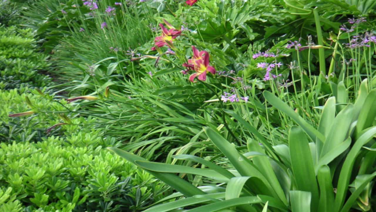 live-recording 4/28/2024 10:44:17 AM