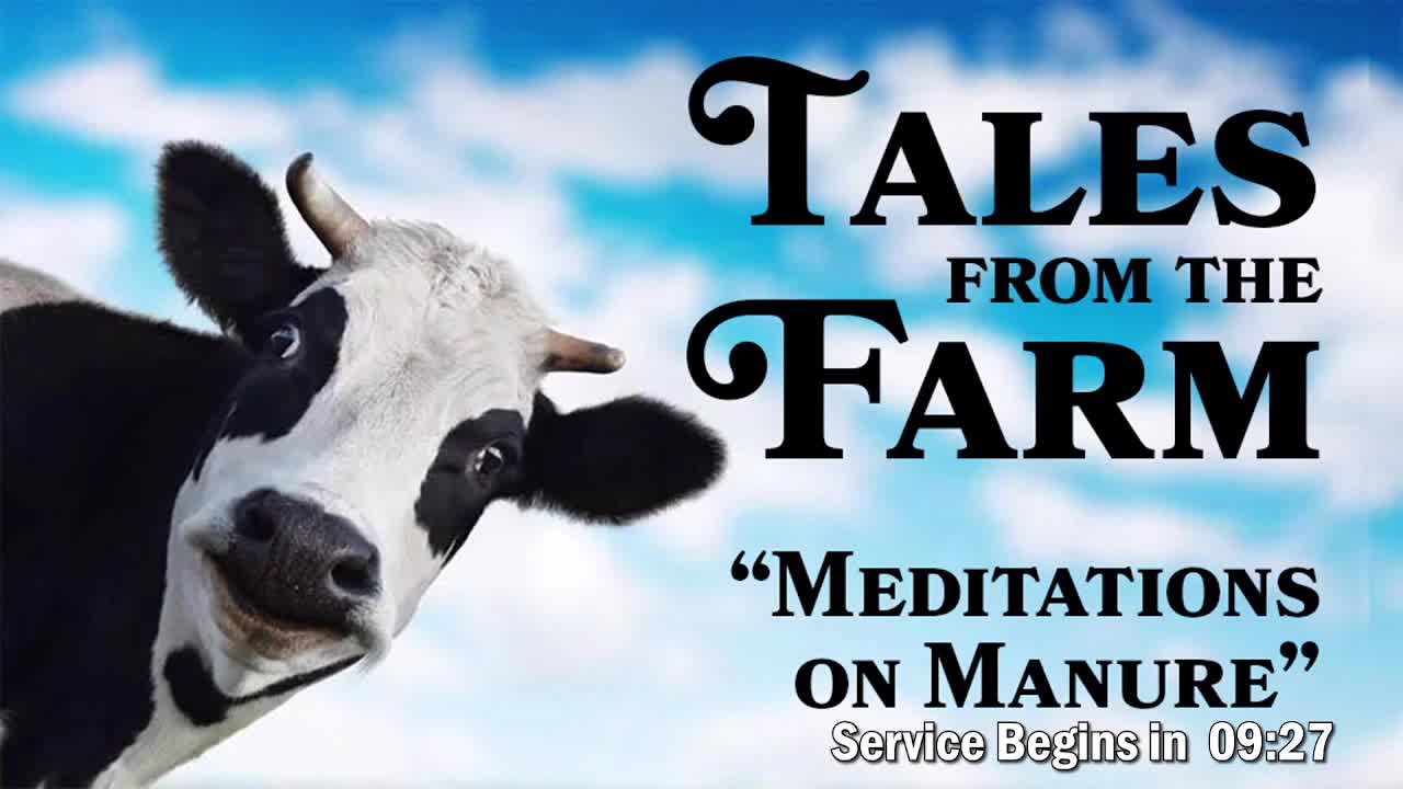 Meditations on Manure