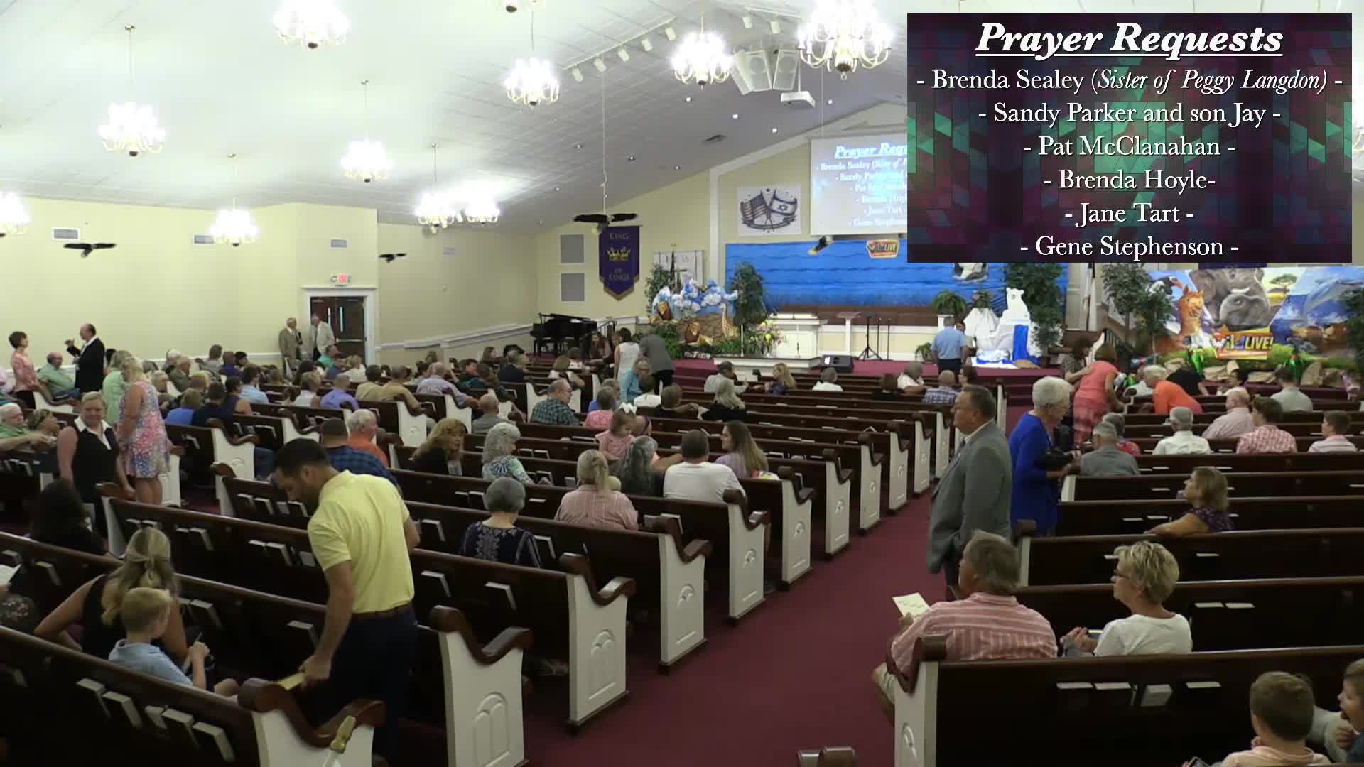 live-recording 8/11/2024 9:23:48 AM