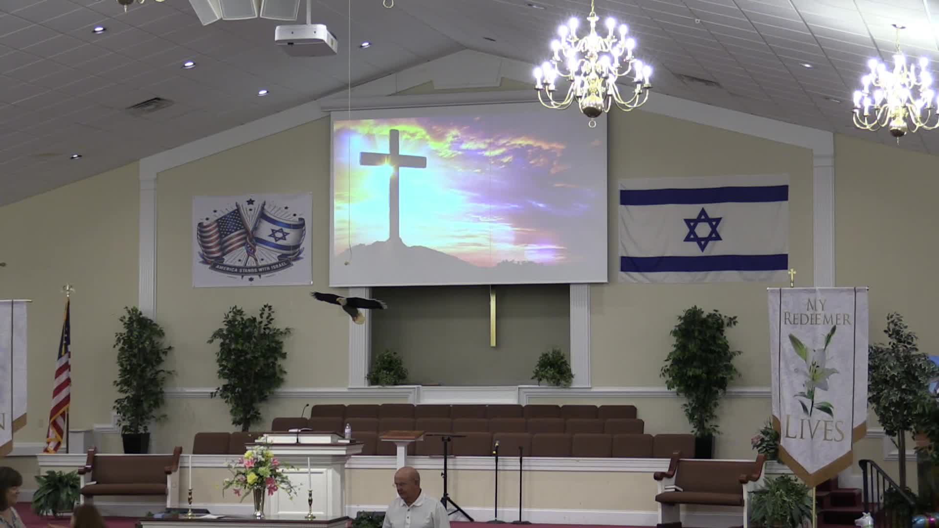 live-recording 8/14/2024 8:28:04 AM
