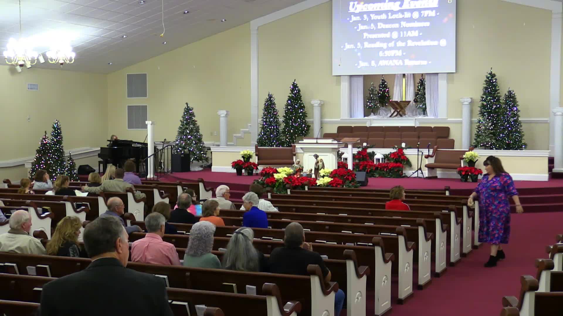 live-recording 12/29/2024 9:17:26 AM