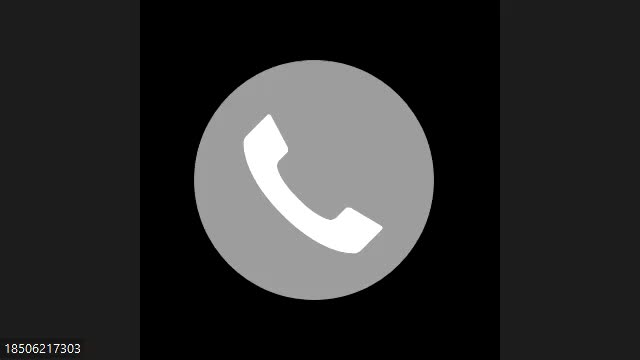 Belgium Missions Team Zoom Call
