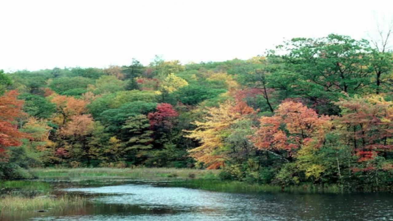 live-recording 9/28/2025 10:31:31 AM