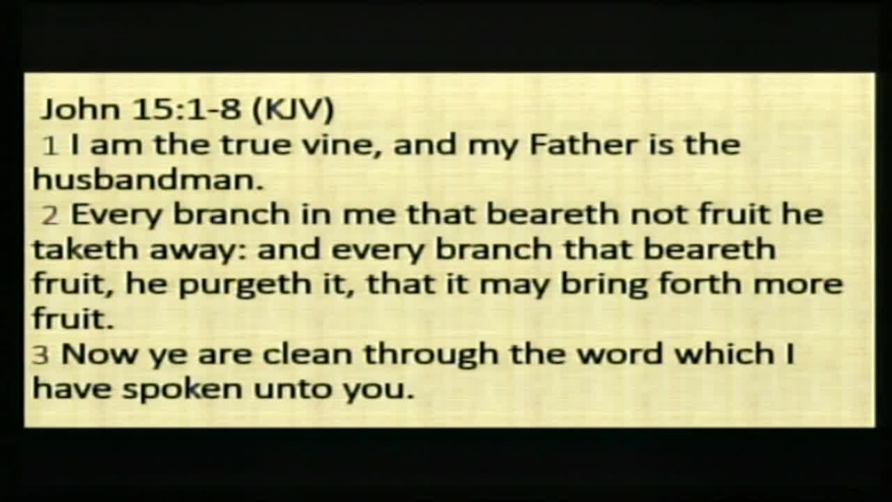 Bible Study (Part 2)