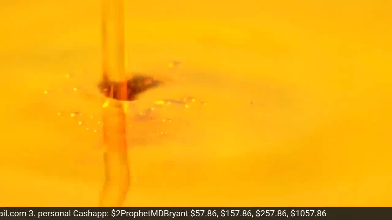 The Daily Bread with Prophet Michael Bryant