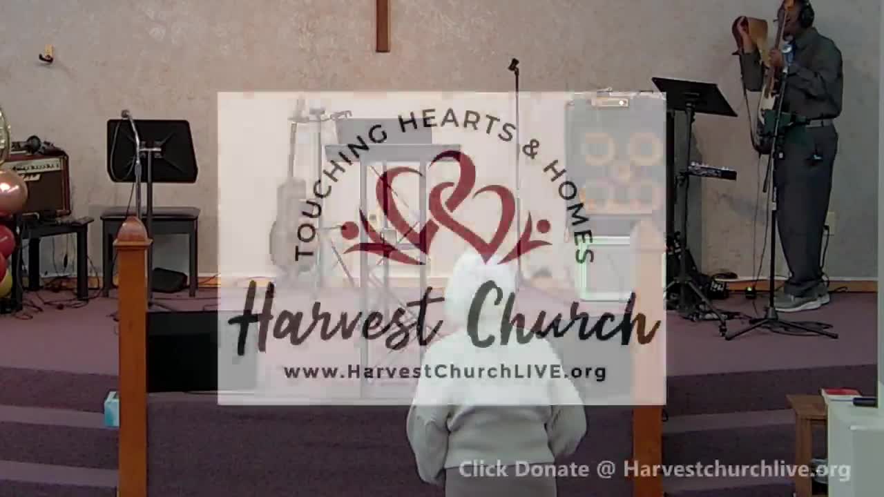 THE POWER OF THE SEED