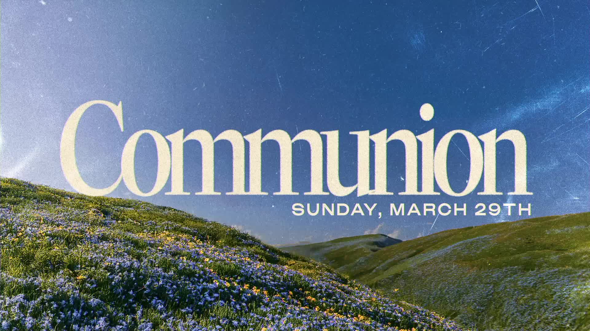 The Principle of the Path: Part 2