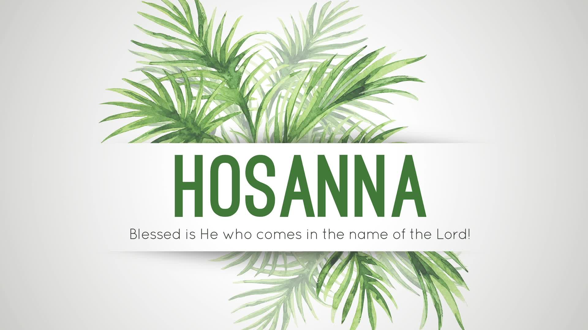 3.29.2026 Sunday Worship Service