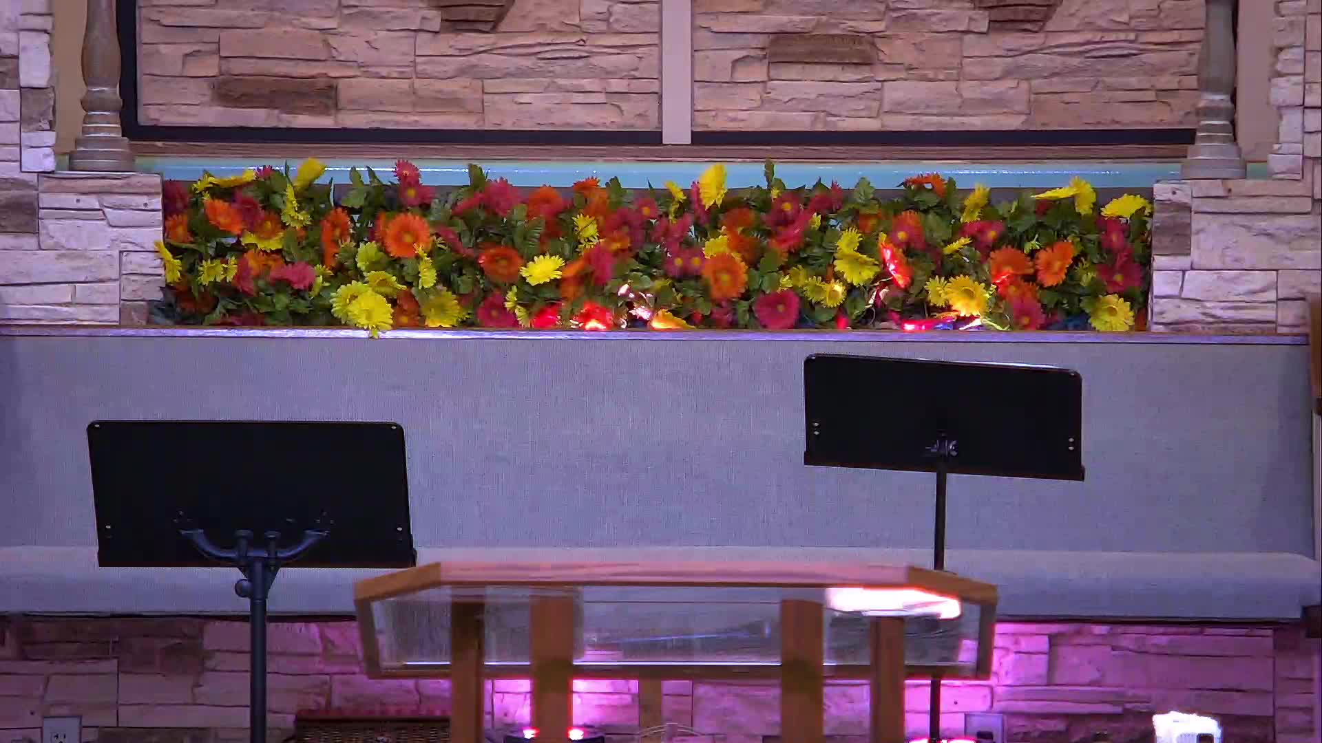 live-recording 7/29/2026 5:36:40 PM episode artwork