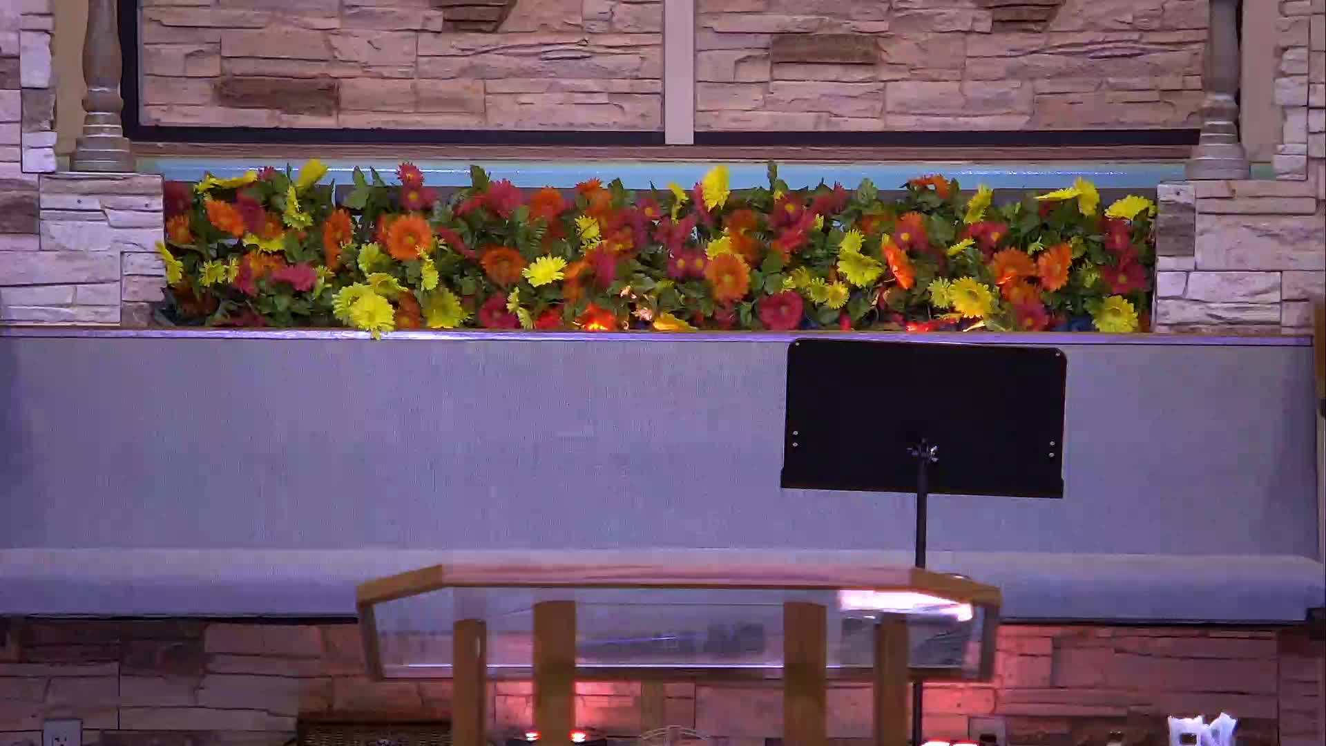 live-recording 8/5/2026 5:05:10 PM episode artwork
