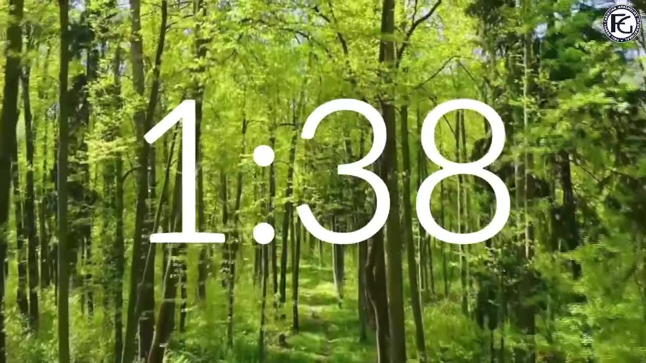 MID WEEK STREAMING SERVICE