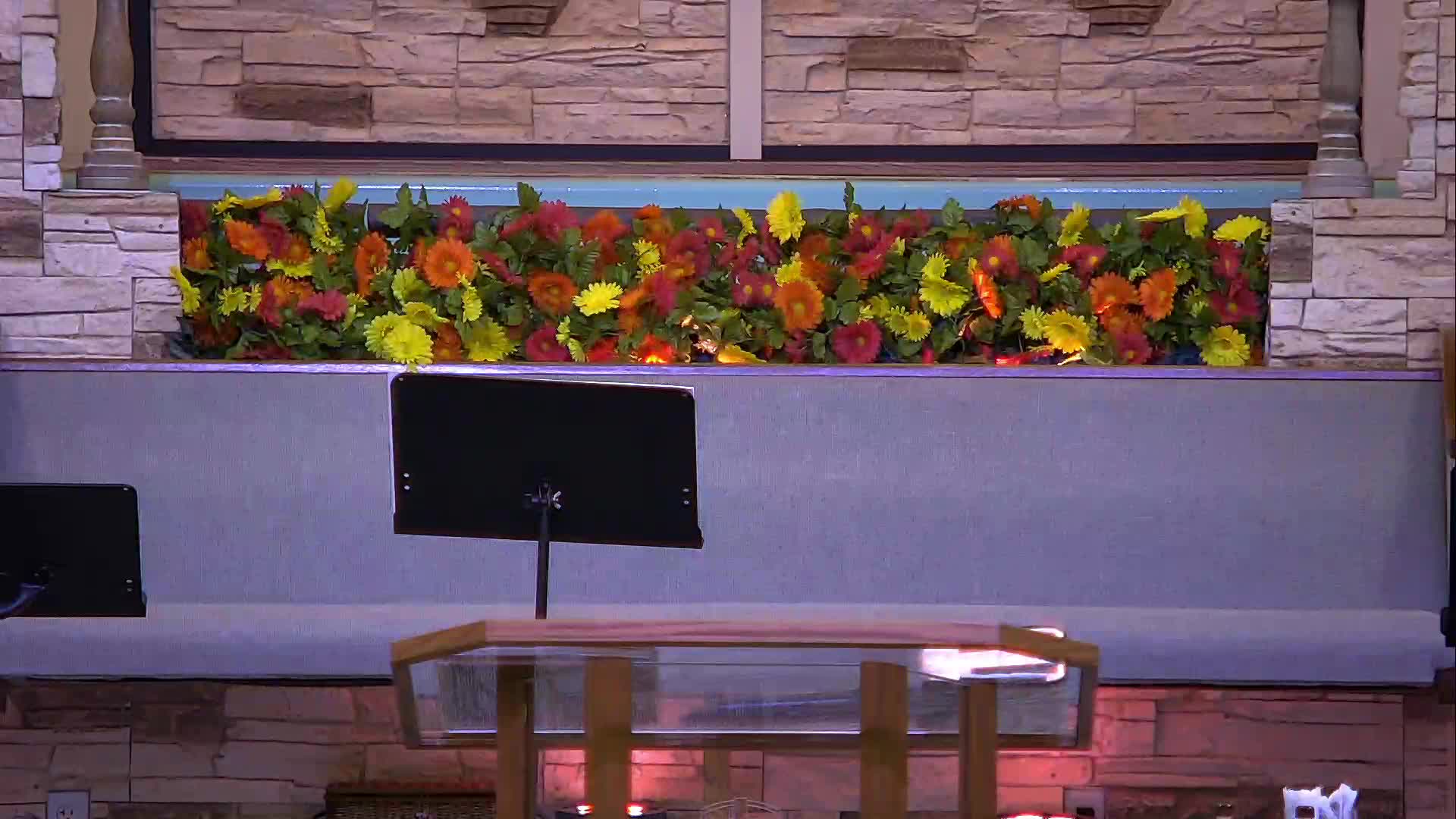 live-recording 8/9/2026 7:00:17 AM episode artwork