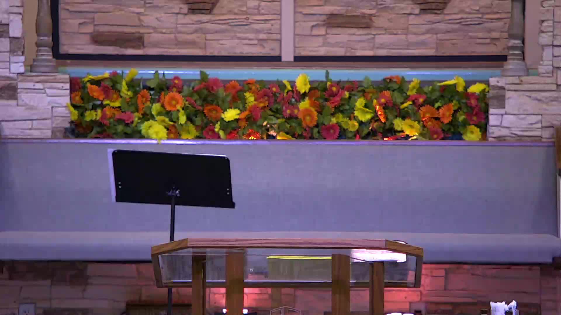 live-recording 8/19/2026 5:36:14 PM episode artwork