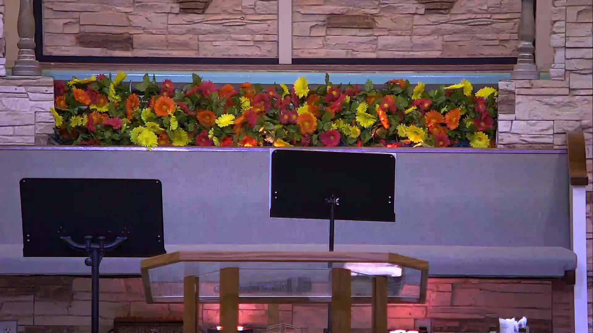 live-recording 8/23/2026 9:38:46 AM episode artwork