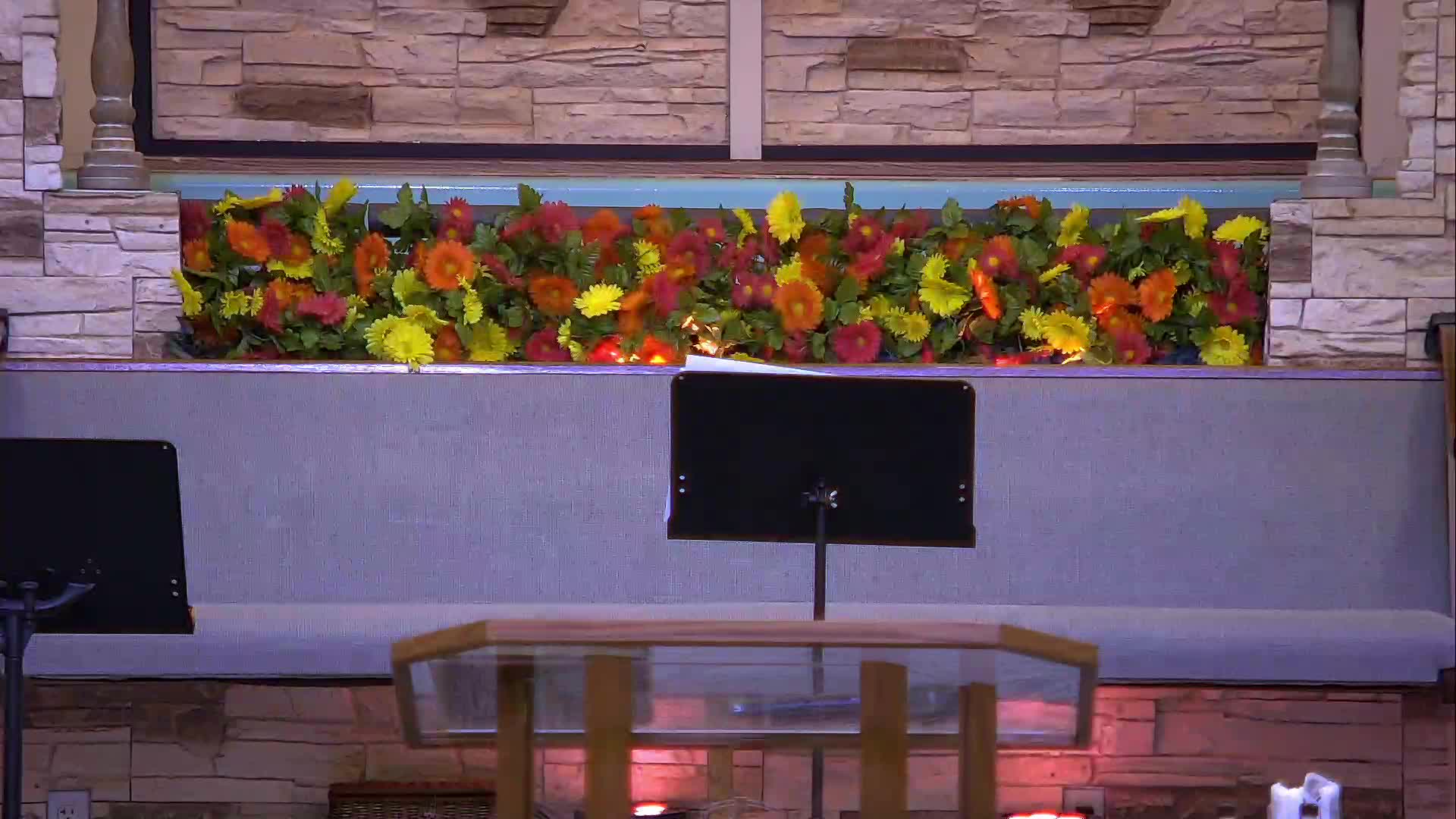 live-recording 8/30/2026 9:18:46 AM episode artwork