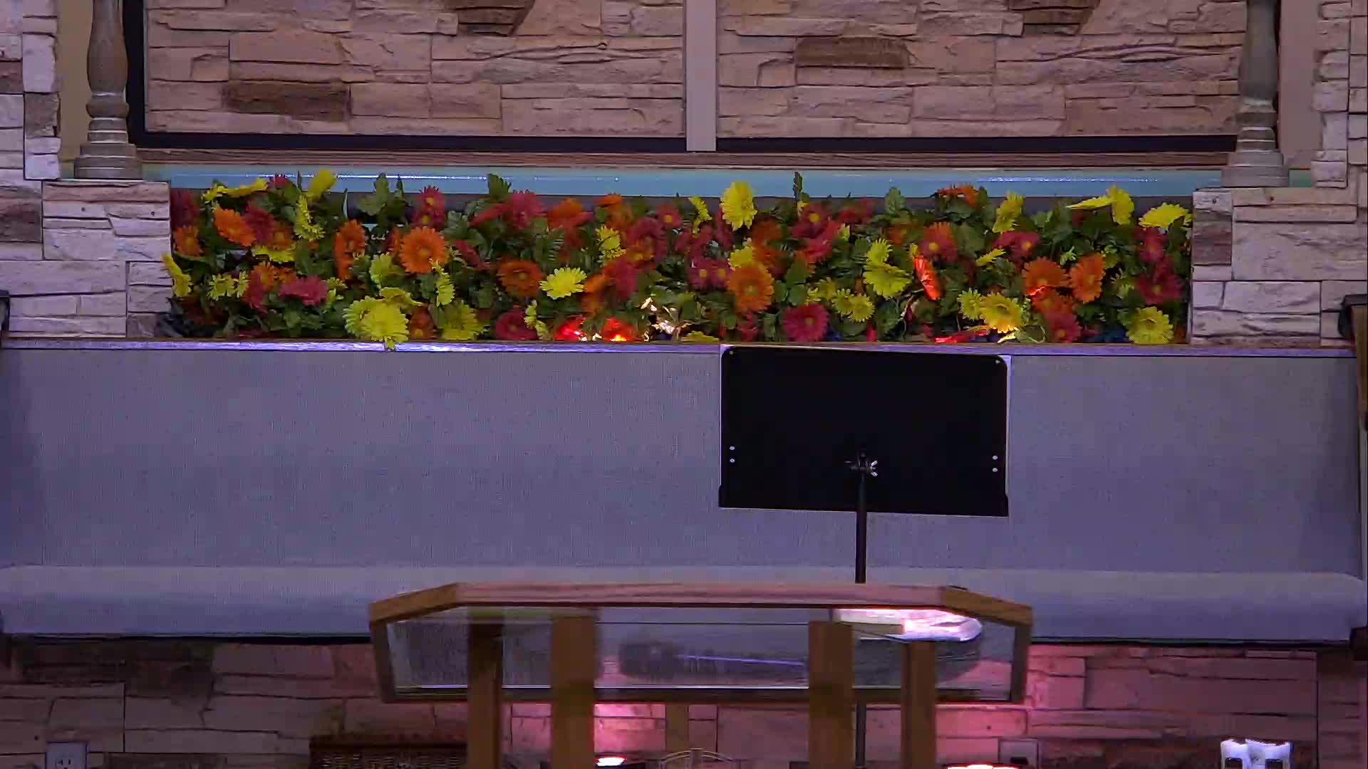 live-recording 9/6/2026 9:19:23 AM episode artwork