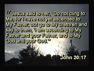 Have You Seen jesus 8:00AM