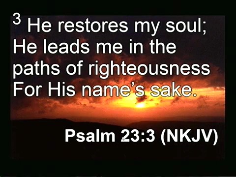 Meditation on Psalm 23